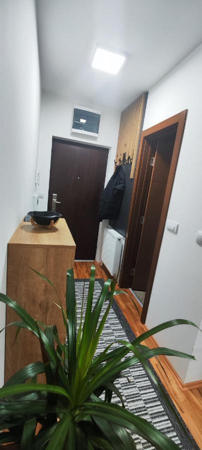 Ferienwohnung Marinkovic Stan Na Dan Vranje Exterior foto